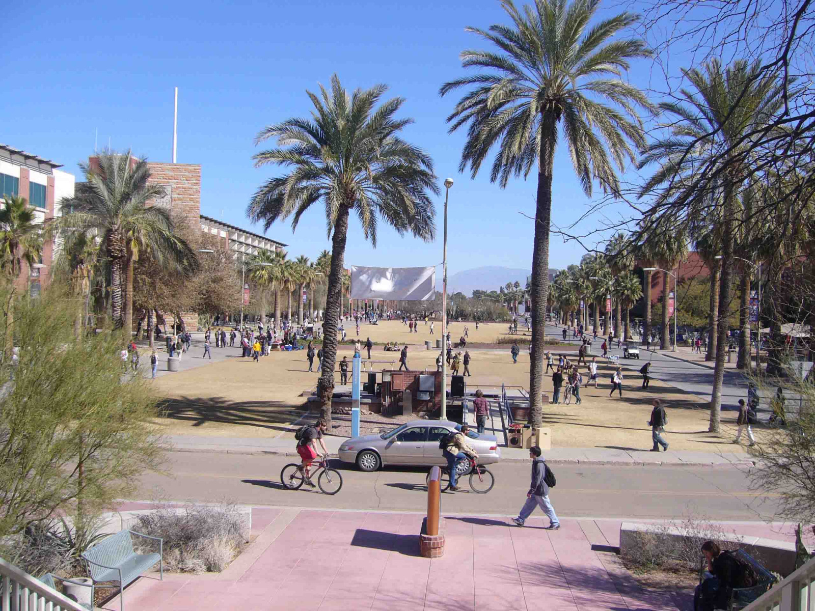 Formation de Bachelor, Masters ou Doctorat à l’Université d’Arizona aux USA