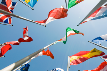 Bourse gratuite du Bureau canadien de l'éducation internationale