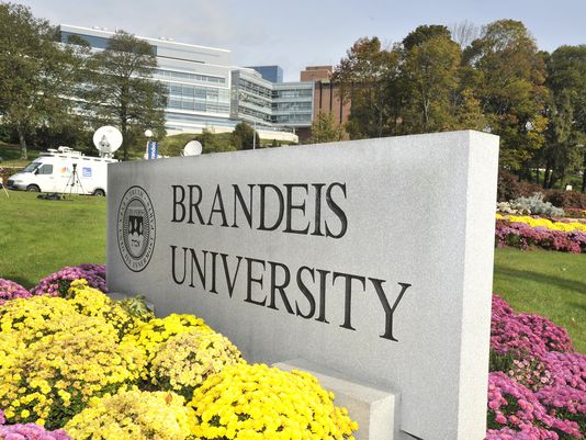 Bourse gratuite aux Etats-Unis à l’université Brandeis