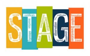 Programme de Stage Globalink 2018 au Canada