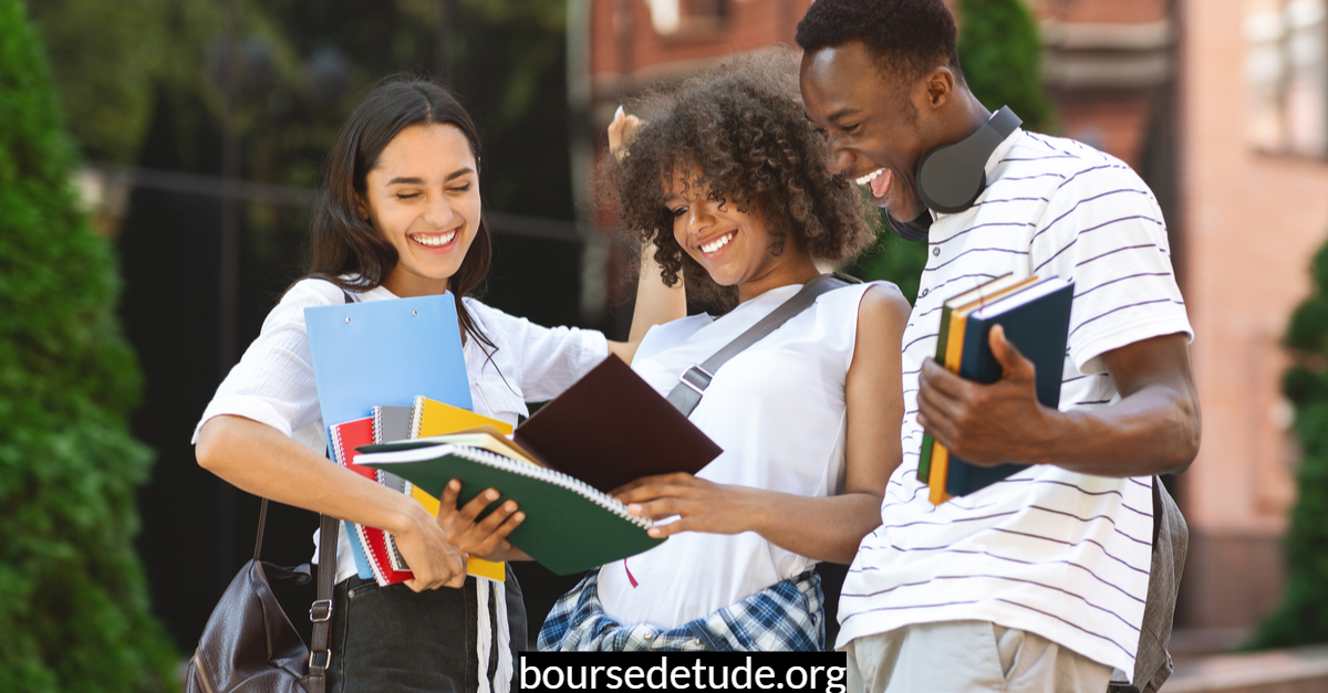 Bourse Présidentielle Internationale de l’université de Stratford aux USA