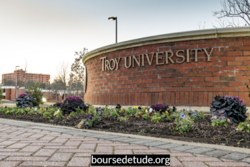 Bourses d'études en éducation internationale