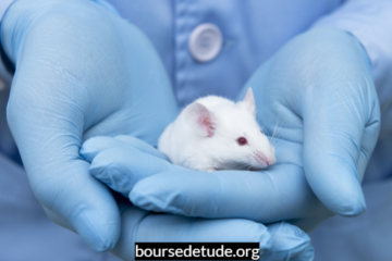 Bourse écologique Anne Vallée