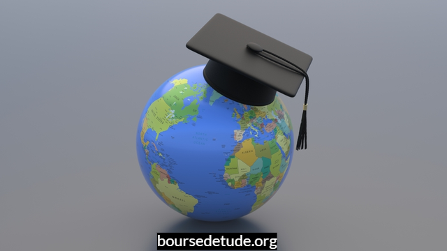 Bourse TY Danjuma pour étudiants africains pour étudier dans des écoles de commerce